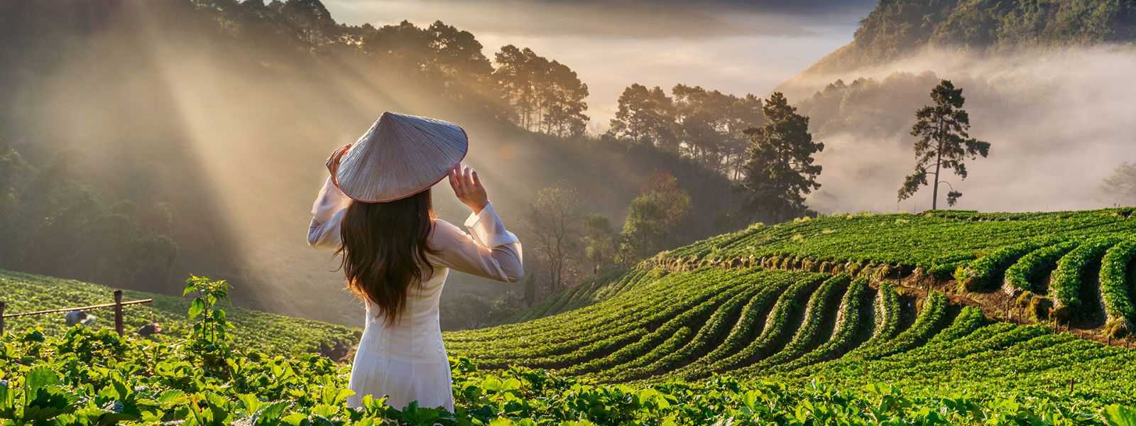 15 anni di esperienza