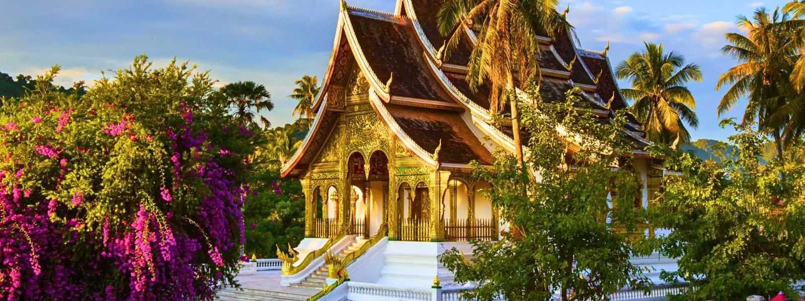 Consulenza personalizzata individuale