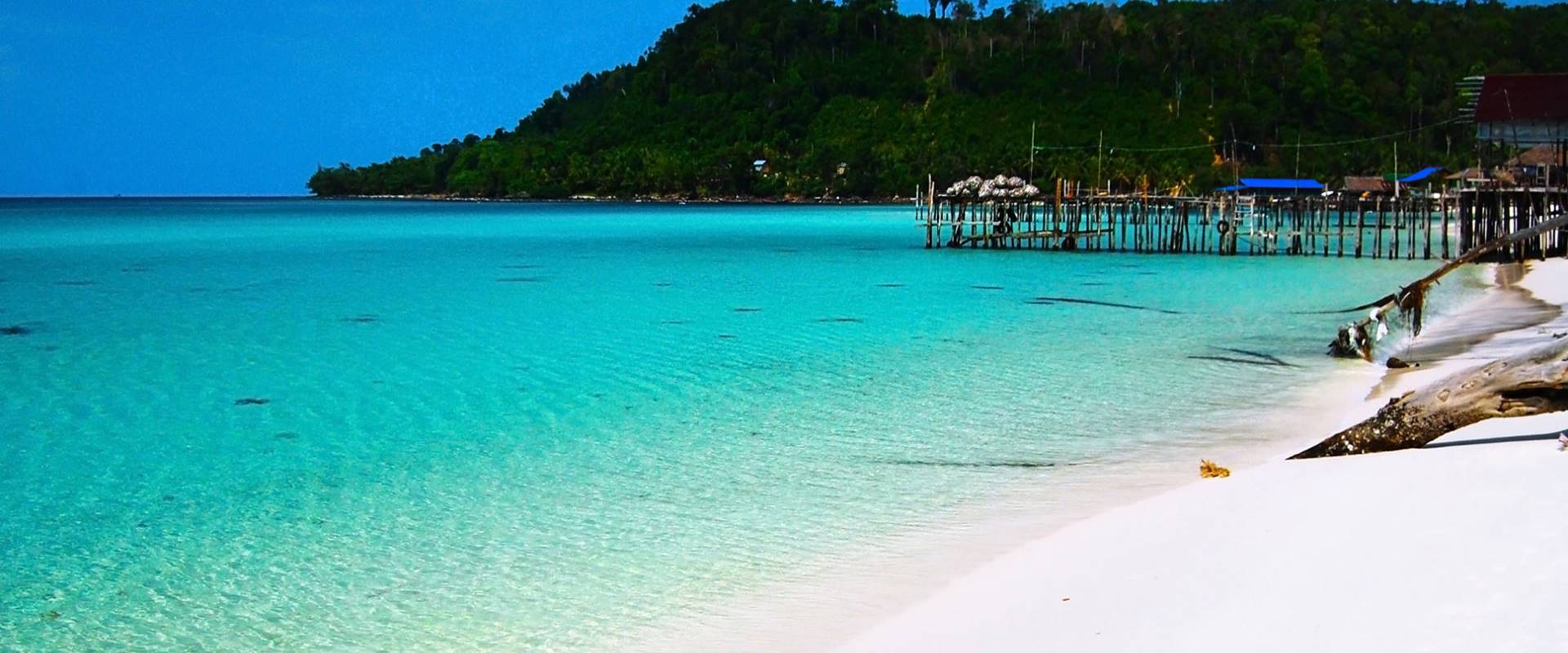 Note Legali e Informazioni Aziendali | Tropicana Travel