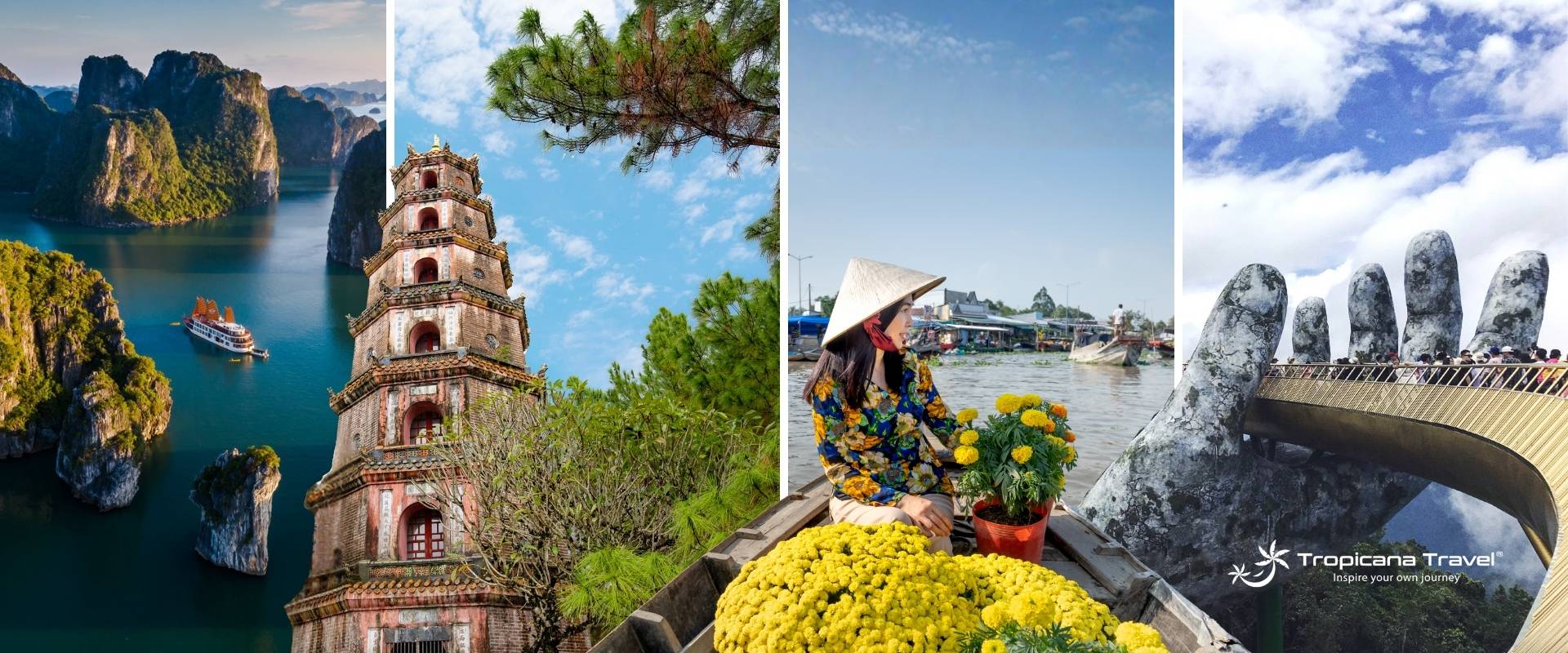Viaggio in Vietnam 10 Giorni: Tour Da Nord a Sud - Tropicana Travel