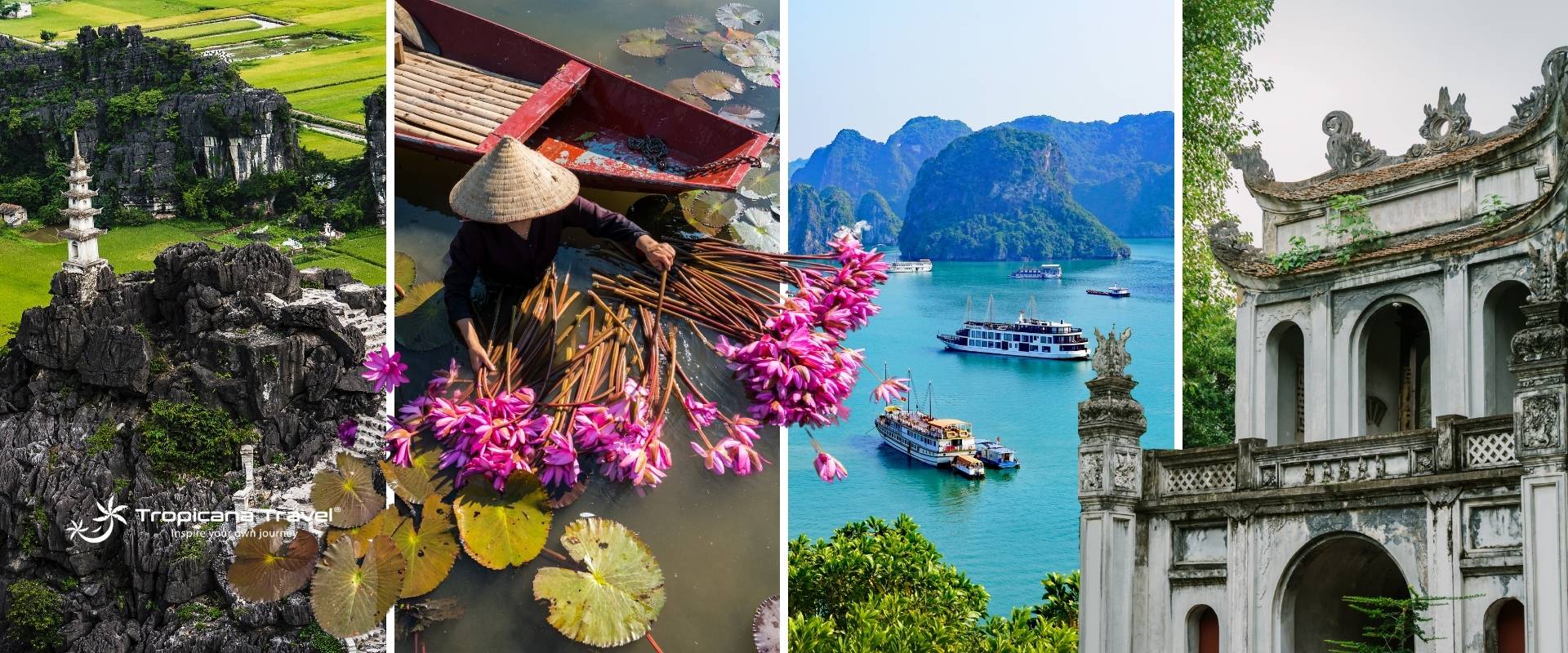 Viaggi di avventura in Vietnam: Trekking, esplorazione e natura selvaggia