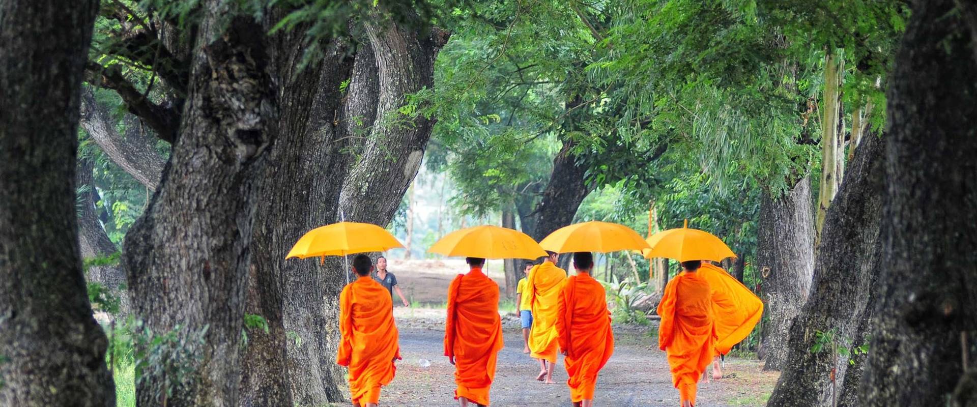 Tour in Cambogia classica 7 giorni: Da Phnom Penh al Mistero dei Templi di Angkor Wat