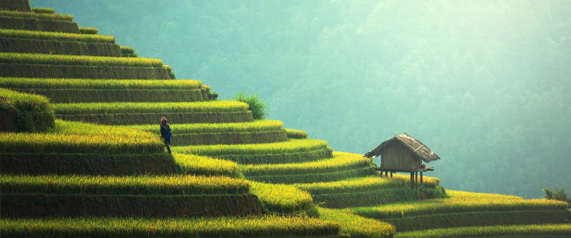 Viaggio in Vietnam Nord & Laos 12 Giorni: Risaie a Terrazze, Tribù e Luang Prabang Spirituale