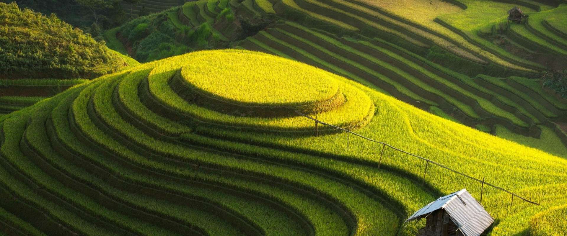 Viaggio di avventura in Vietnam del Nord 8 Giorni: Mu Cang Chai, Sapa e Etnie