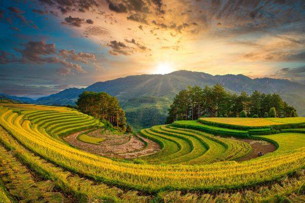 Mu Cang Chai