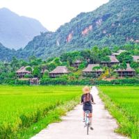 /MediaUpload/thumb_1021104554scoperta-vietnam.jpg