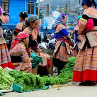 /MediaUpload/thumb_1021110508esperienza-autentica-toccante-vietnam.jpg