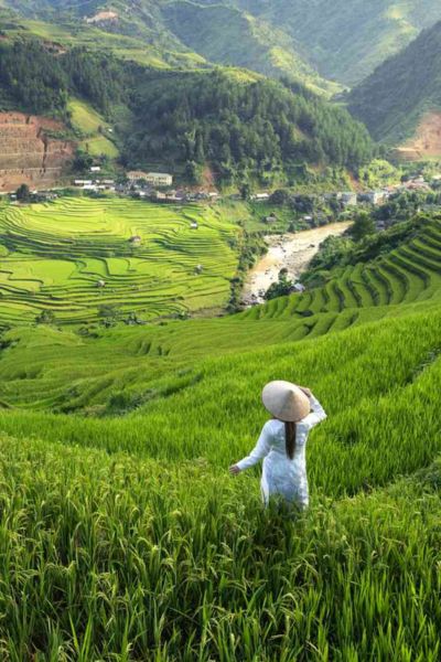 Sapa
