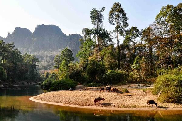 Cosa da visitare in Laos? Top 10 destinazioni