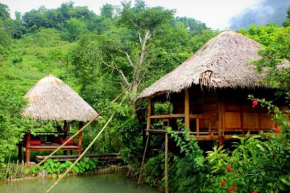 Ban-hieu-garden