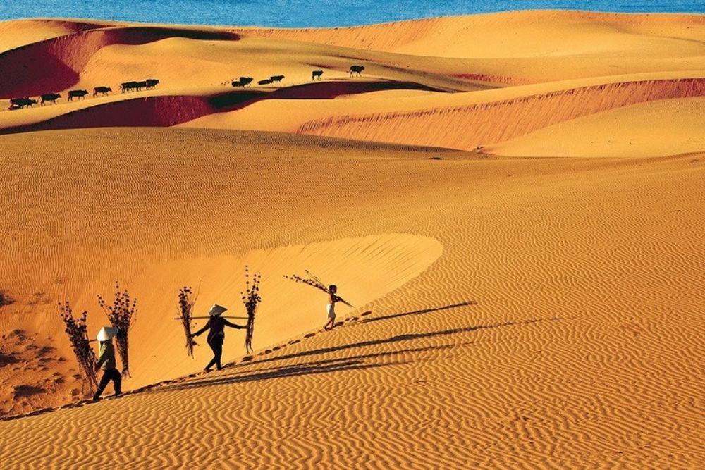 Dune-di-sabbia-rosa