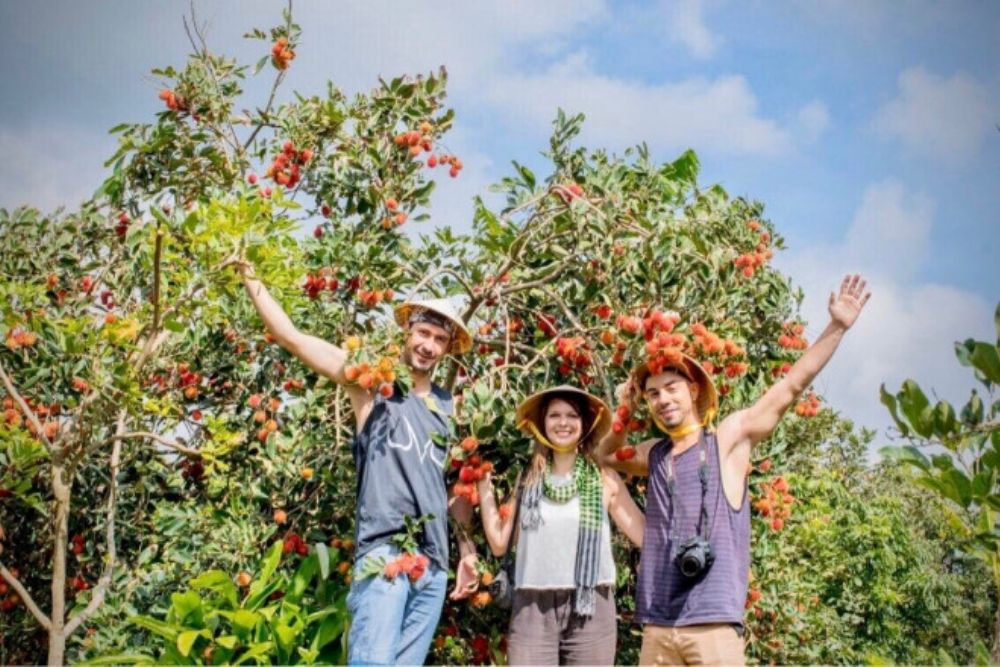Giardino-di-frutti