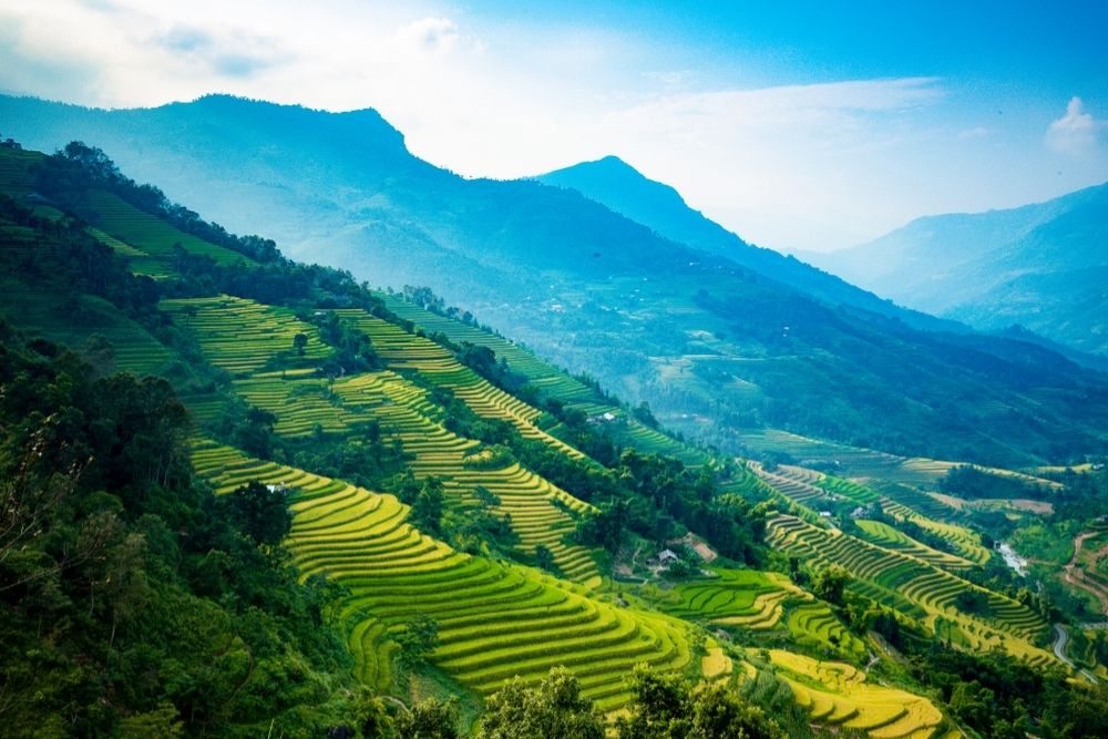 Hoang-su-phi