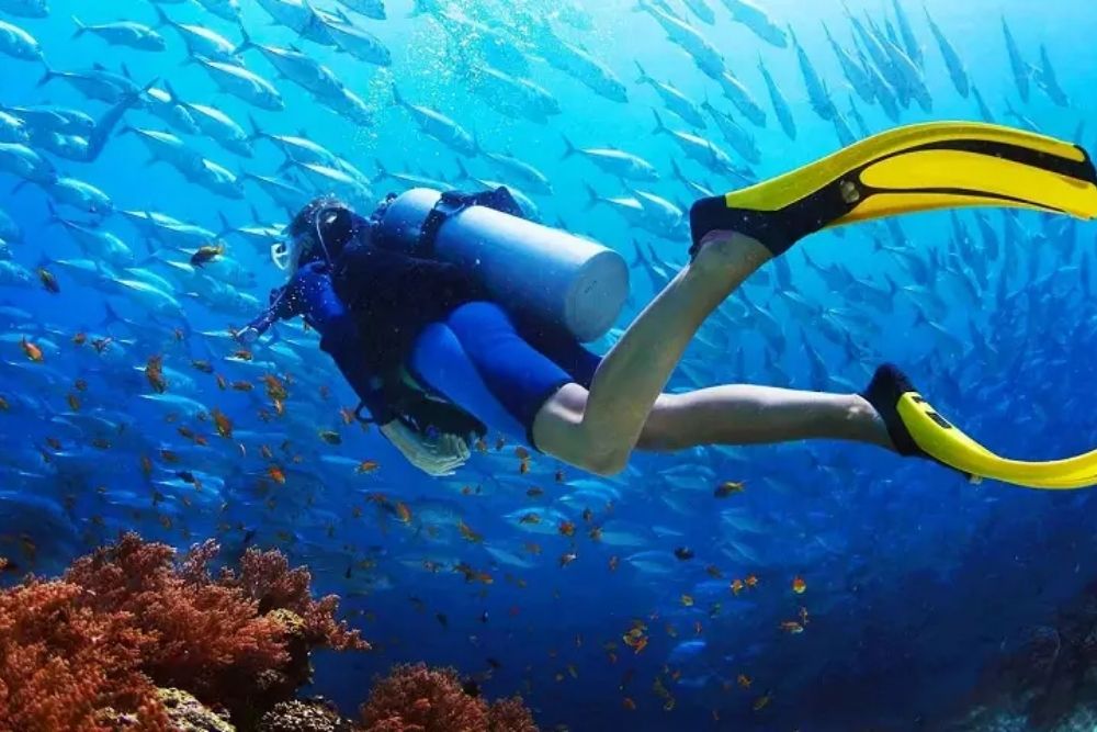 Immersioni-e-scoperta-del-mondo-sottomarino