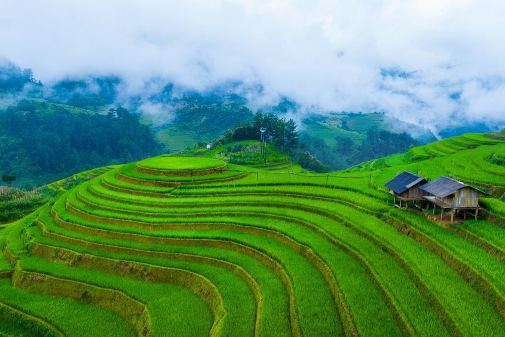 La-Pa-Tan-collina-Mam-Xoi