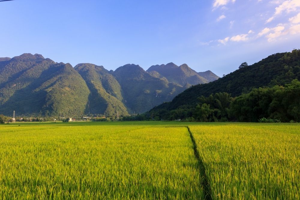 Mai-chau-autunno