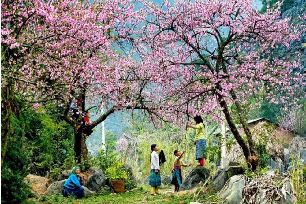 Mai-chau-primavera