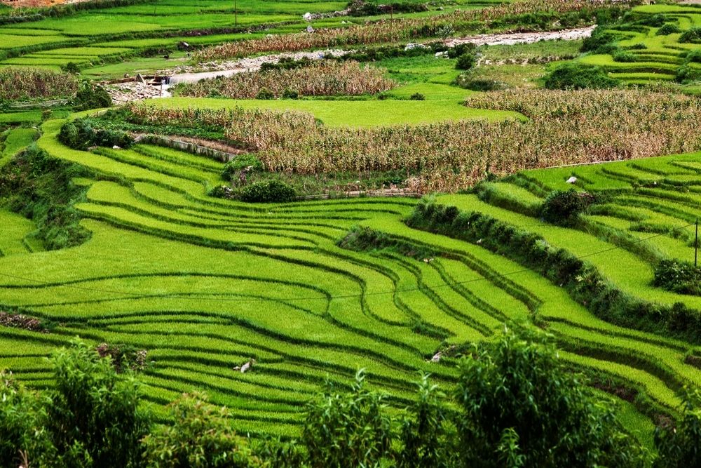 Matra-Sapa