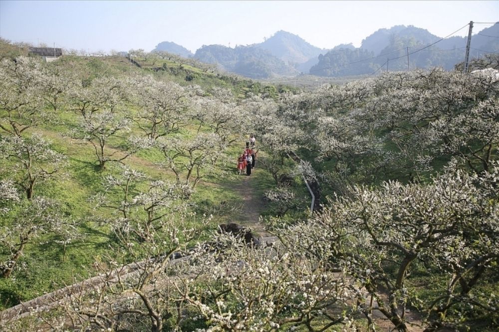 Mu-cang-chai-ad-marzo