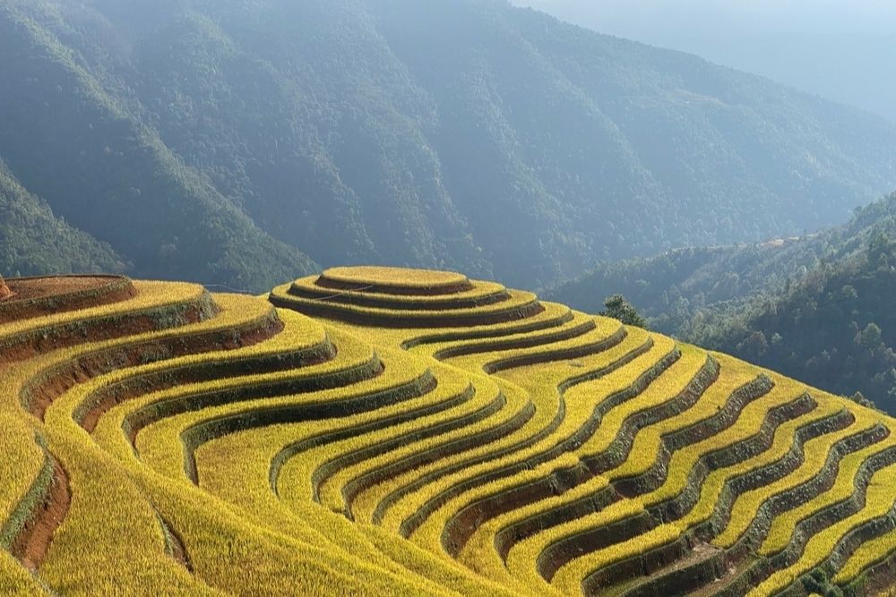 Mu-cang-chai