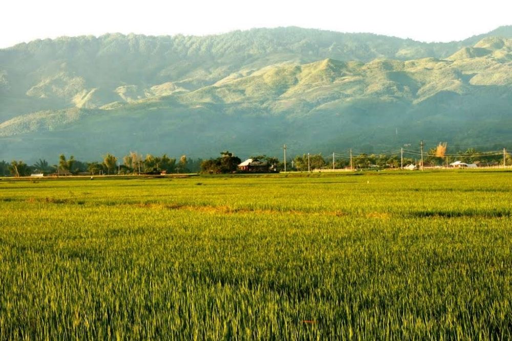 Muong-lo-ad-marzo