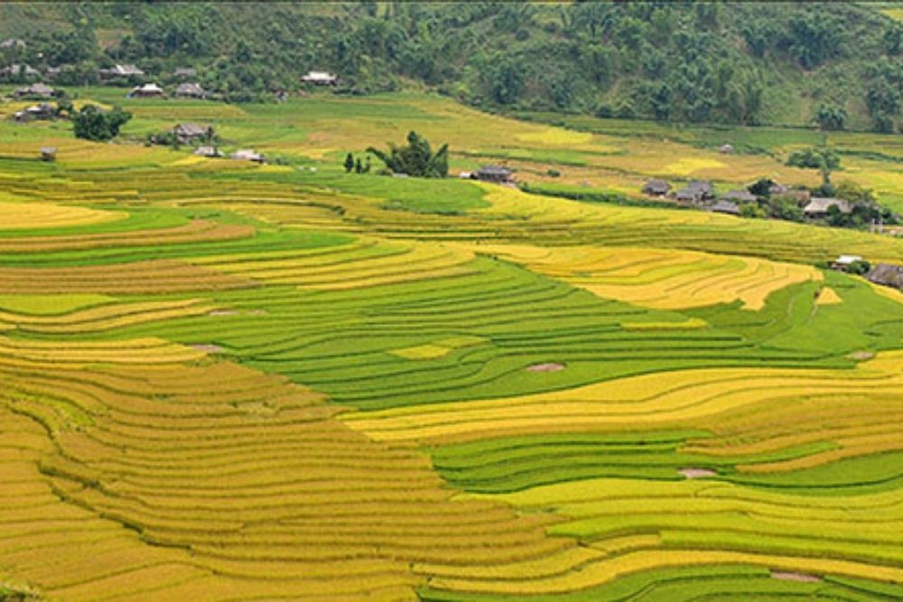 Muong-lo