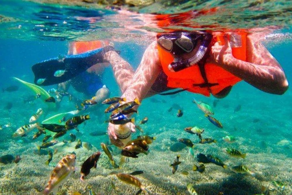 Nuotare-e-fare-snorkeling