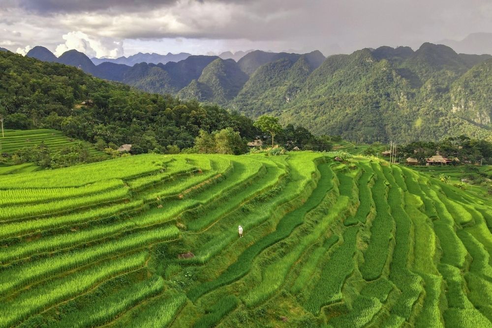 Pu-luong-maggio-giugno