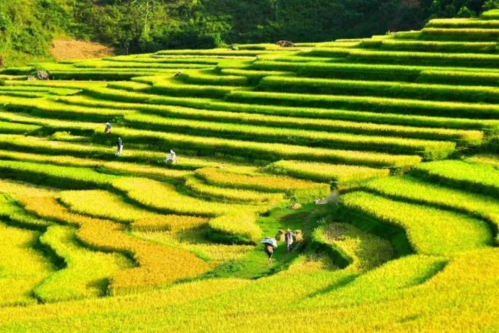 Pu-luong-settembre-ottembre