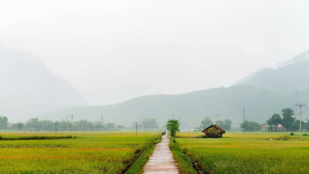 Quando andare in Vietnam?