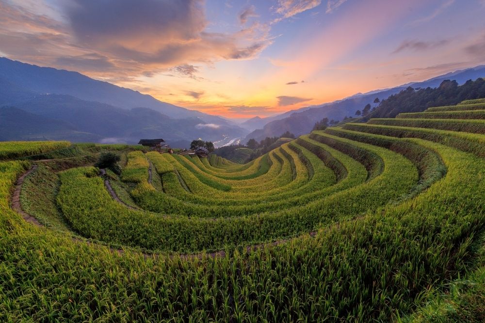 Sang-nhu-mu-cang-chai