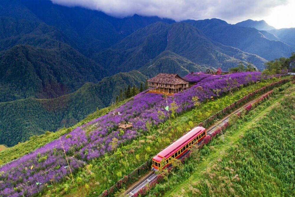 Sapa-ad-marzo