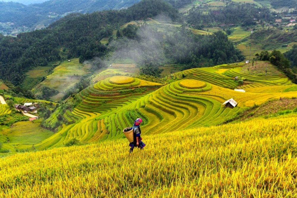 Sapa-autunno