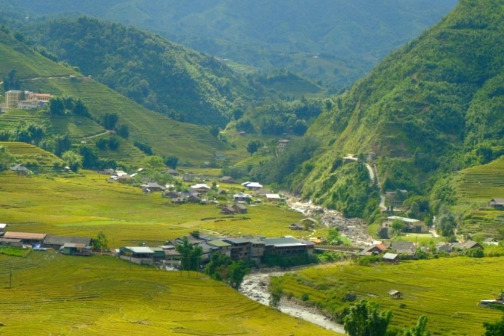 Sapa