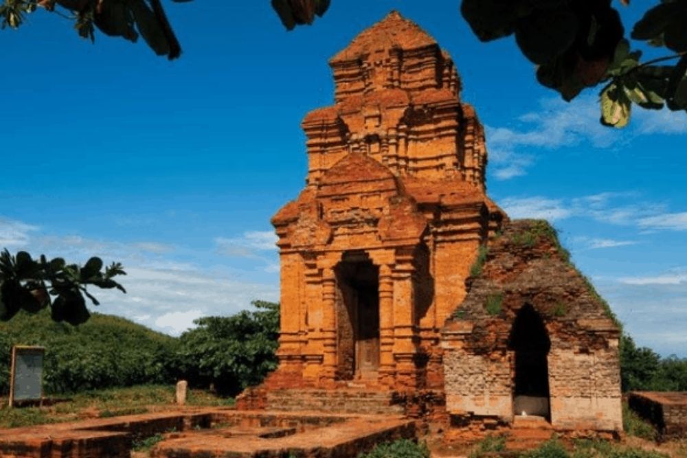 Torri-cham-di-poshanư