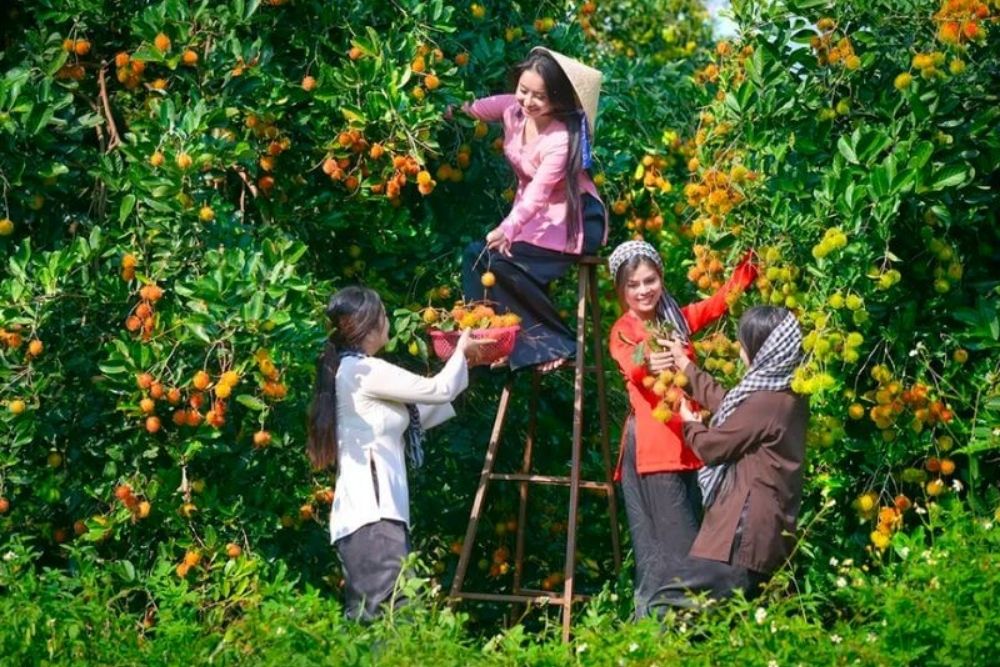Visitare-un-giardino-di-frutta