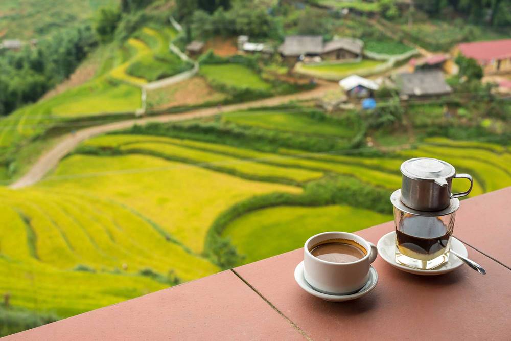 Perché il mondo impazzisce per il caffè vietnamita?