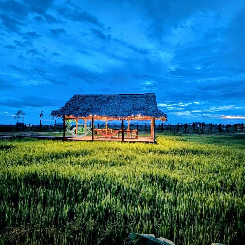 Viaggio in Cambogia ad Agosto: consigli dettagliati