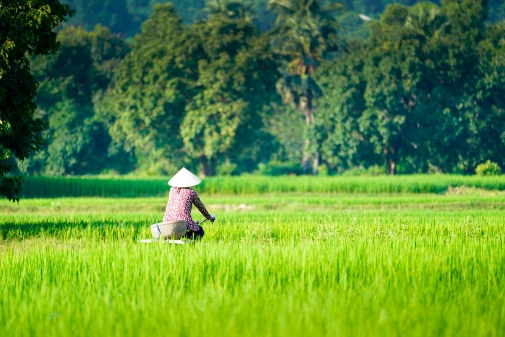 chau-doc-nella-stagione-secca