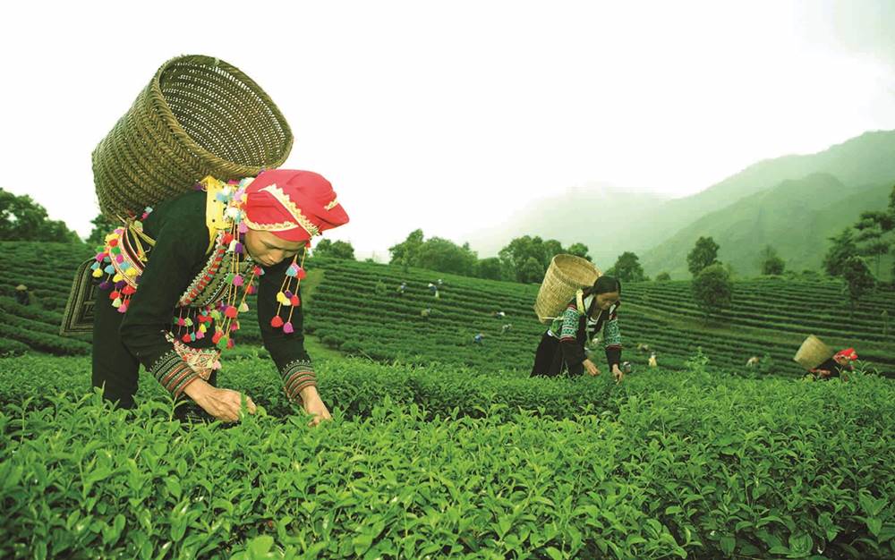 cose più interessanti da comprare in Vietnam