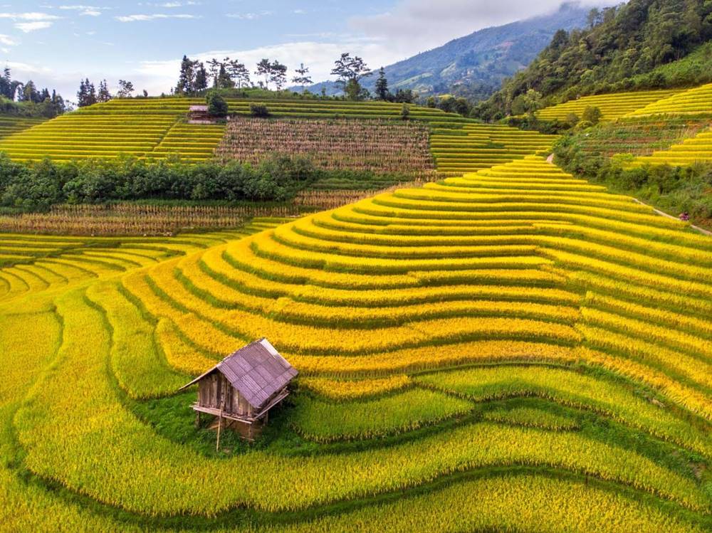 Cosa da visitare in Vietnam: Top 20 destinazioni