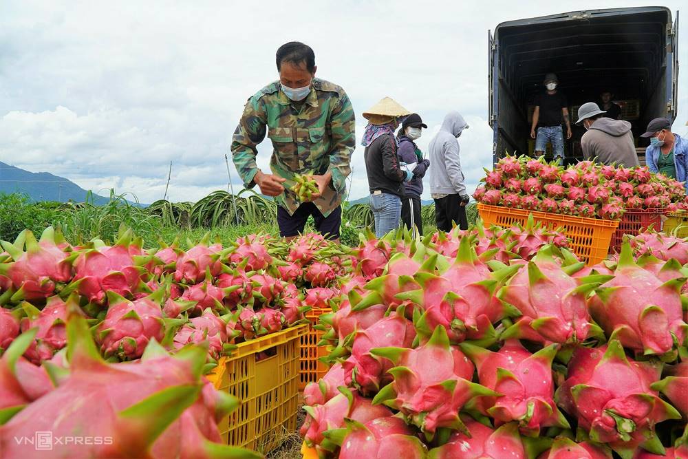  migliori frutti vietnamiti 