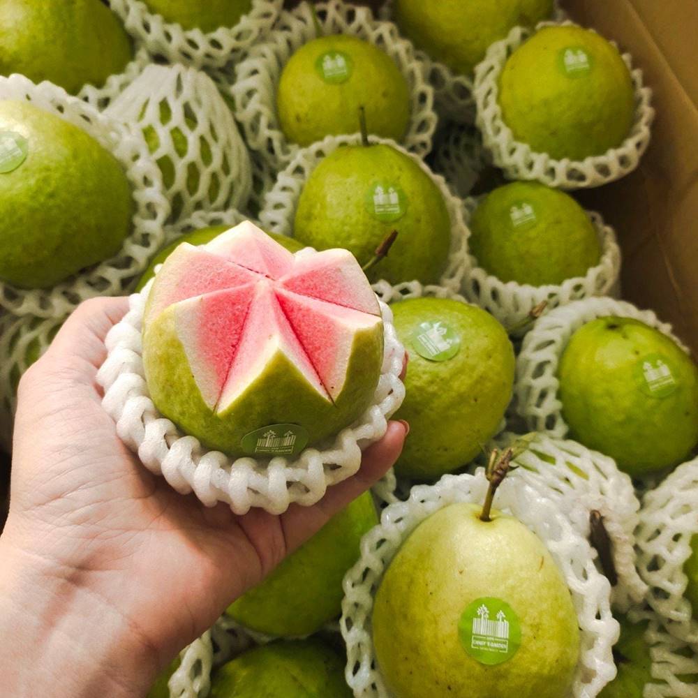  migliori frutti vietnamiti 