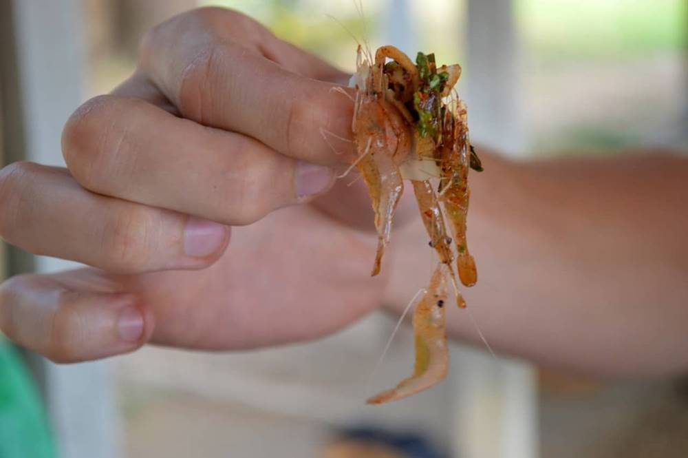 Cosa da mangiare in Thailandia