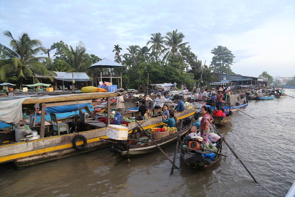 Cosa visitare nel Delta del Mekong? Guida di viaggio 2026