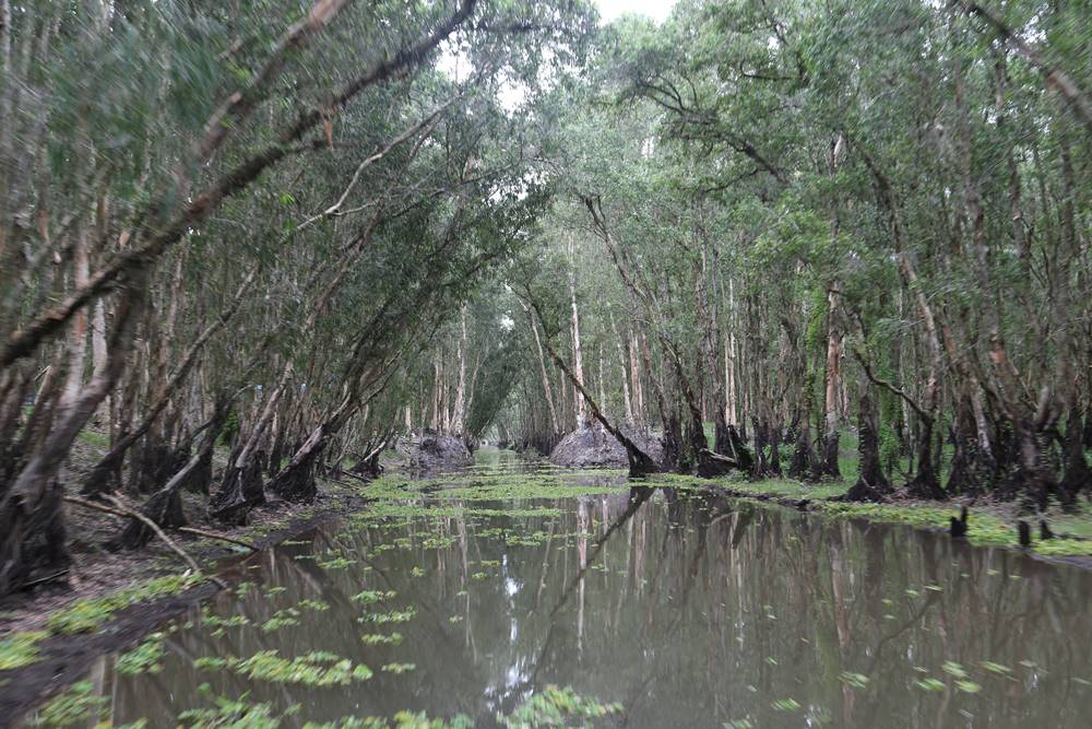 Cosa visitare nel Delta del Mekong? Guida di viaggio 2026