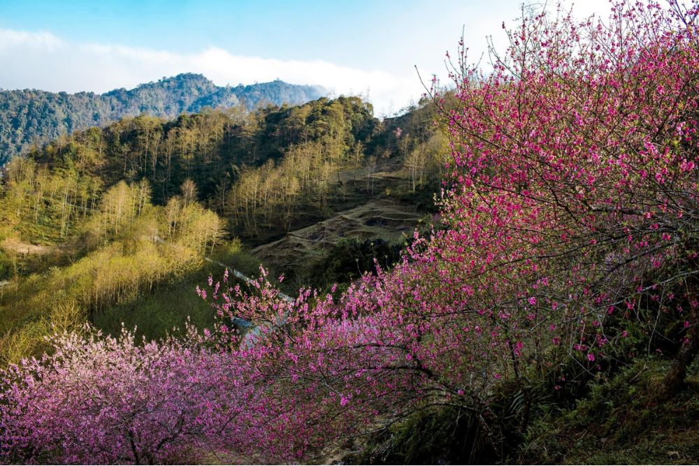 primavera ad Ha Giang