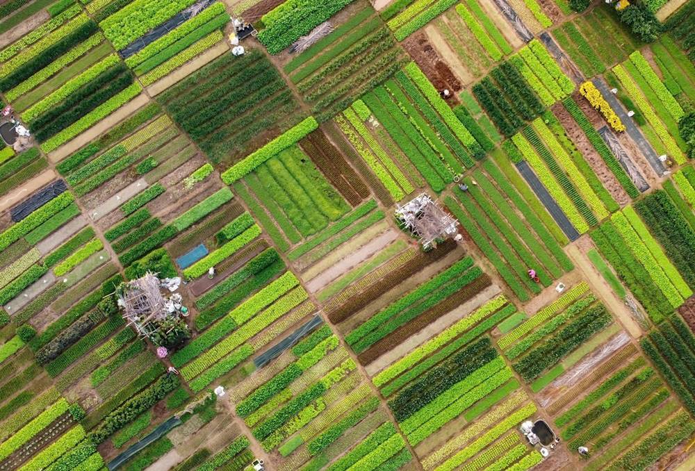 Alla scoperta dei villaggi artigianali intorno a Hoi An