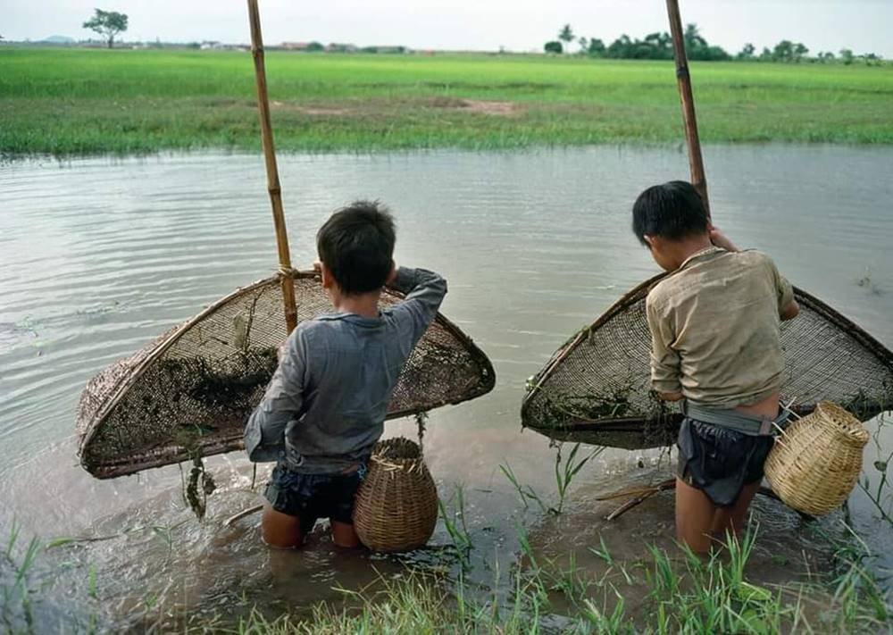 Guida di viaggio di Tam Coc Ninh Binh