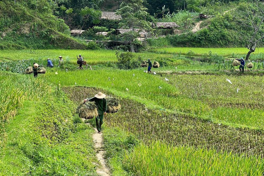 Viaggiare in Vietnam ad agosto 